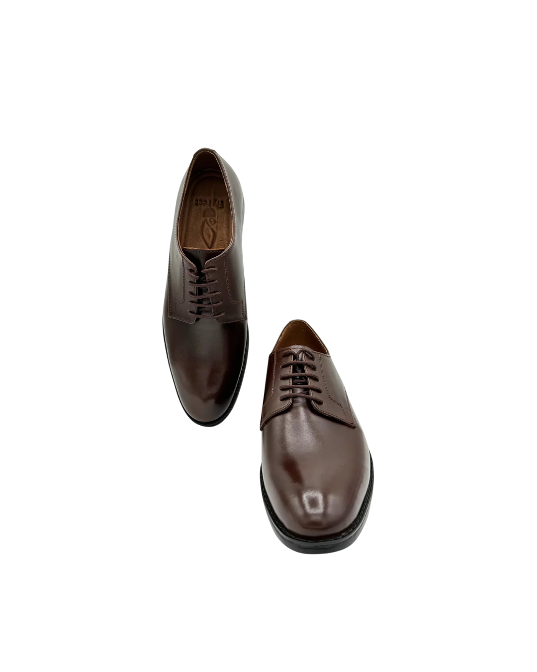 The Executive