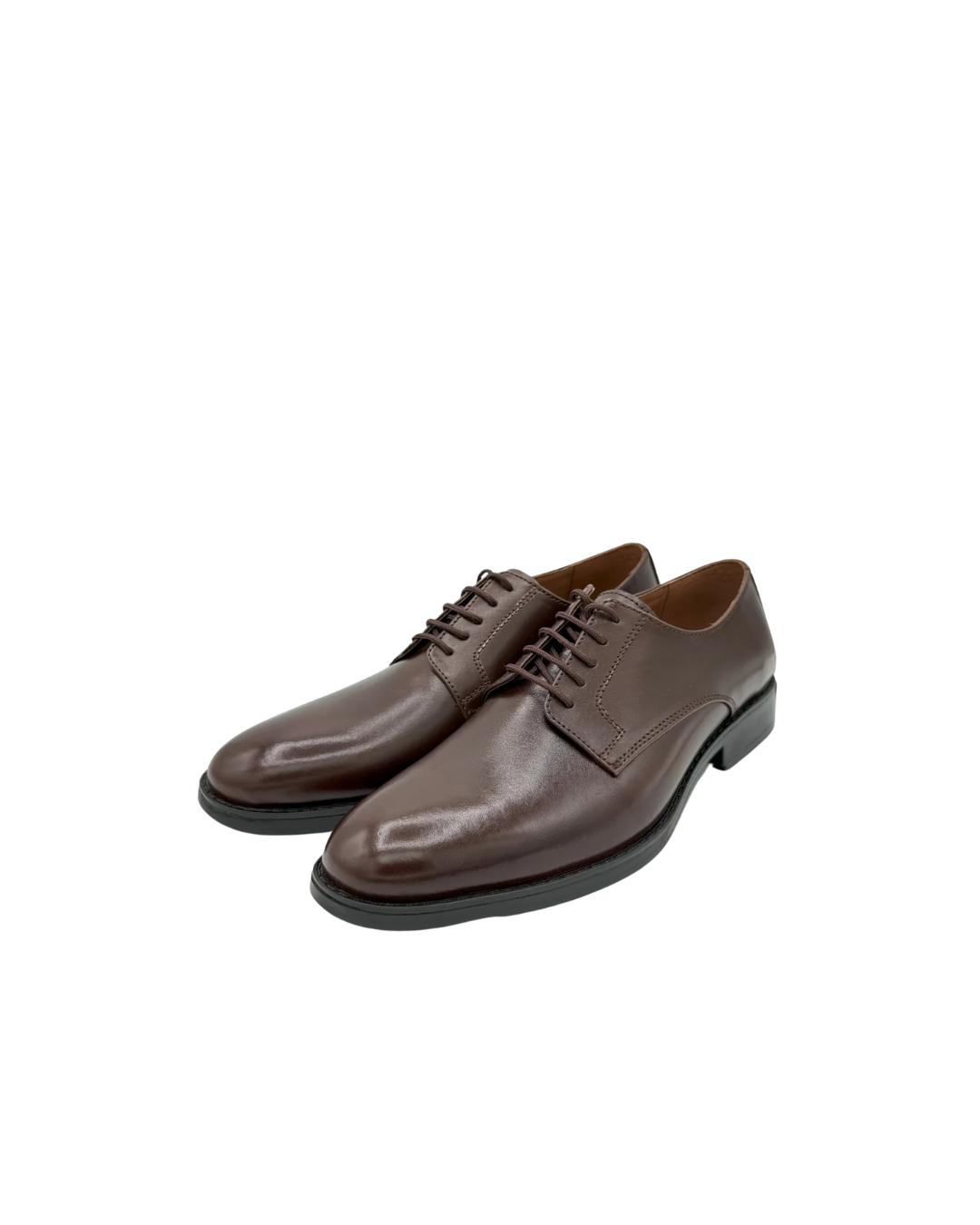 The Executive